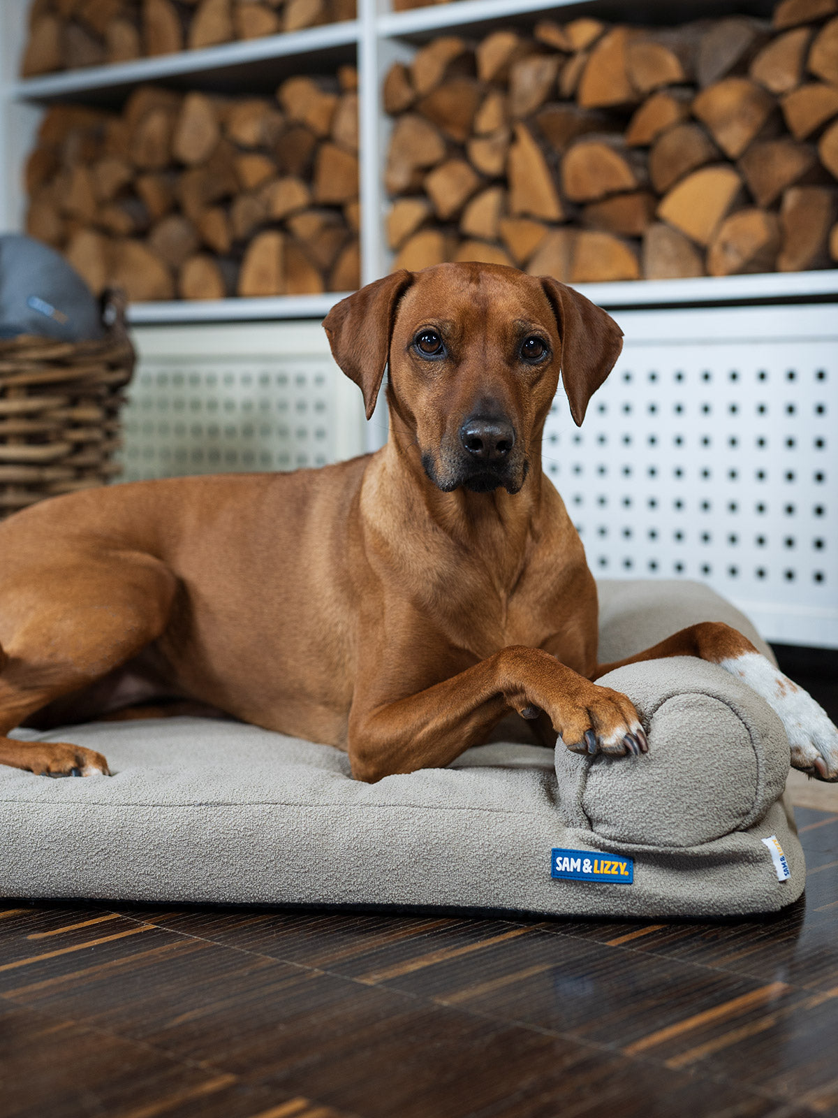 Hundebett LOTTE - Qualität für höchste Ansprüche